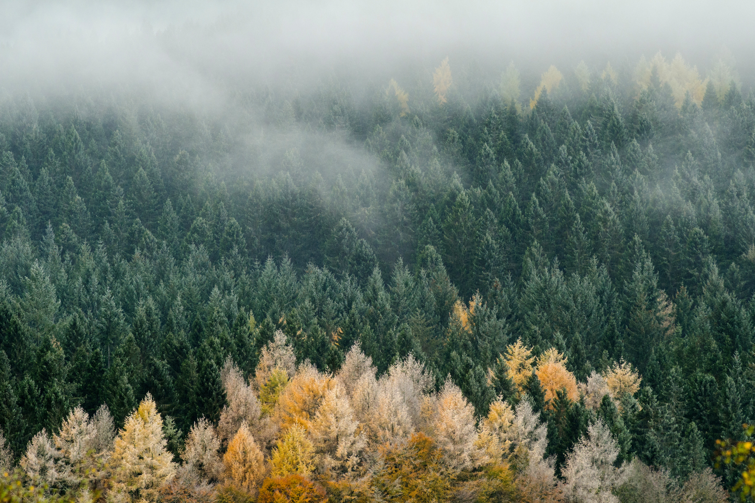 cairngorms national park (4).webp